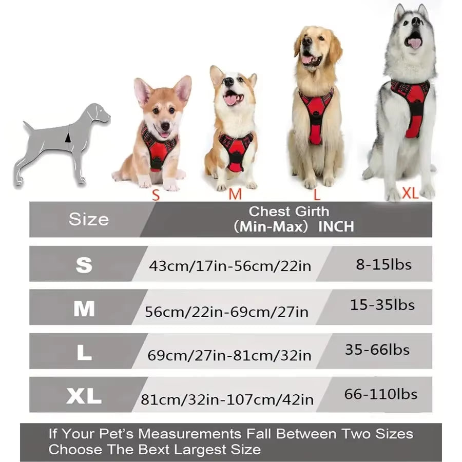 Matching Leather Vest Harness, Collar, and Leash For Dogs in Different Sizes and Colors