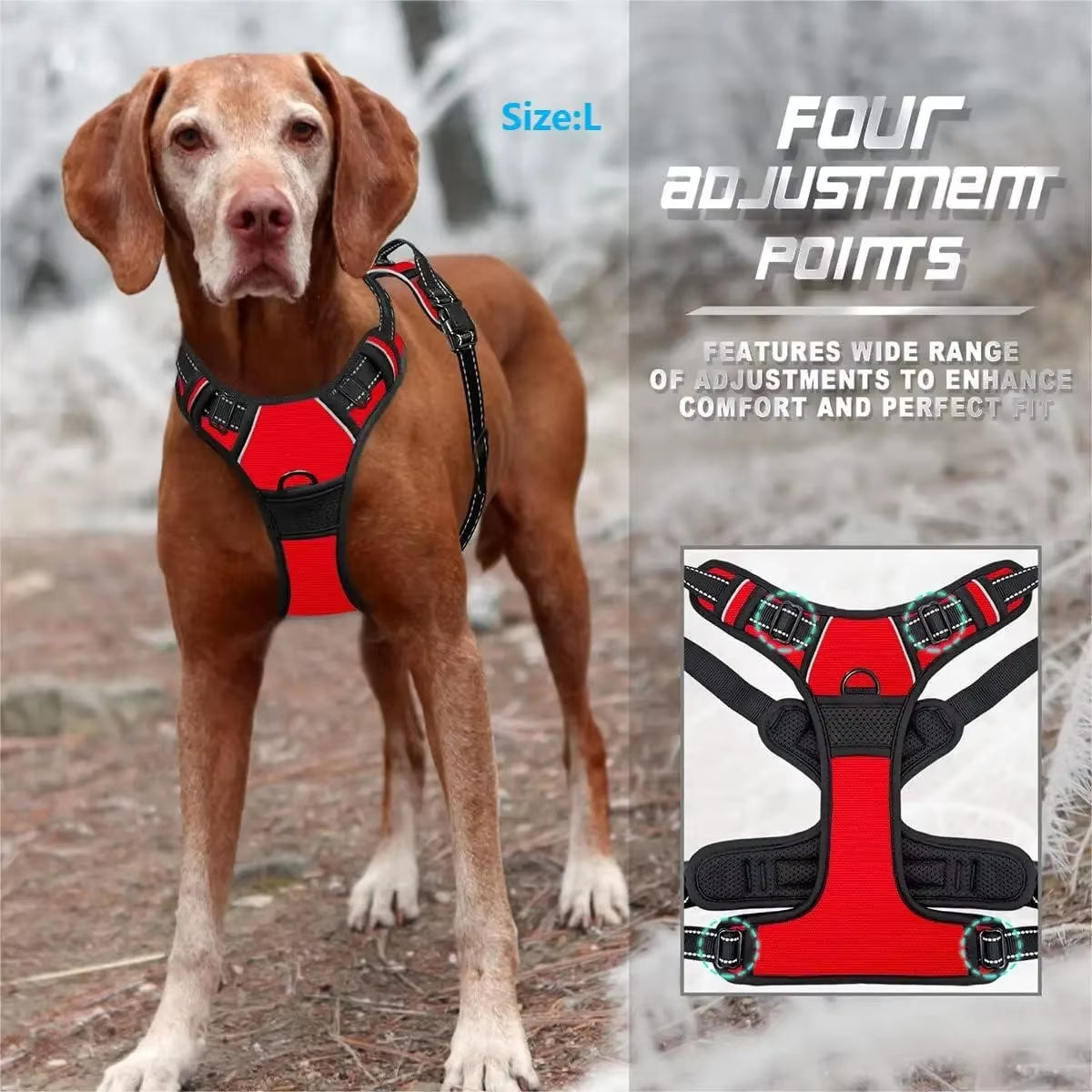 Matching Leather Vest Harness, Collar, and Leash For Dogs in Different Sizes and Colors