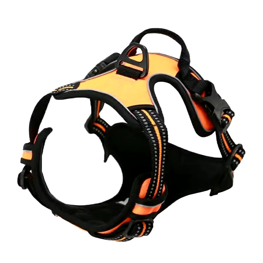 Matching Leather Vest Harness, Collar, and Leash For Dogs in Different Sizes and Colors