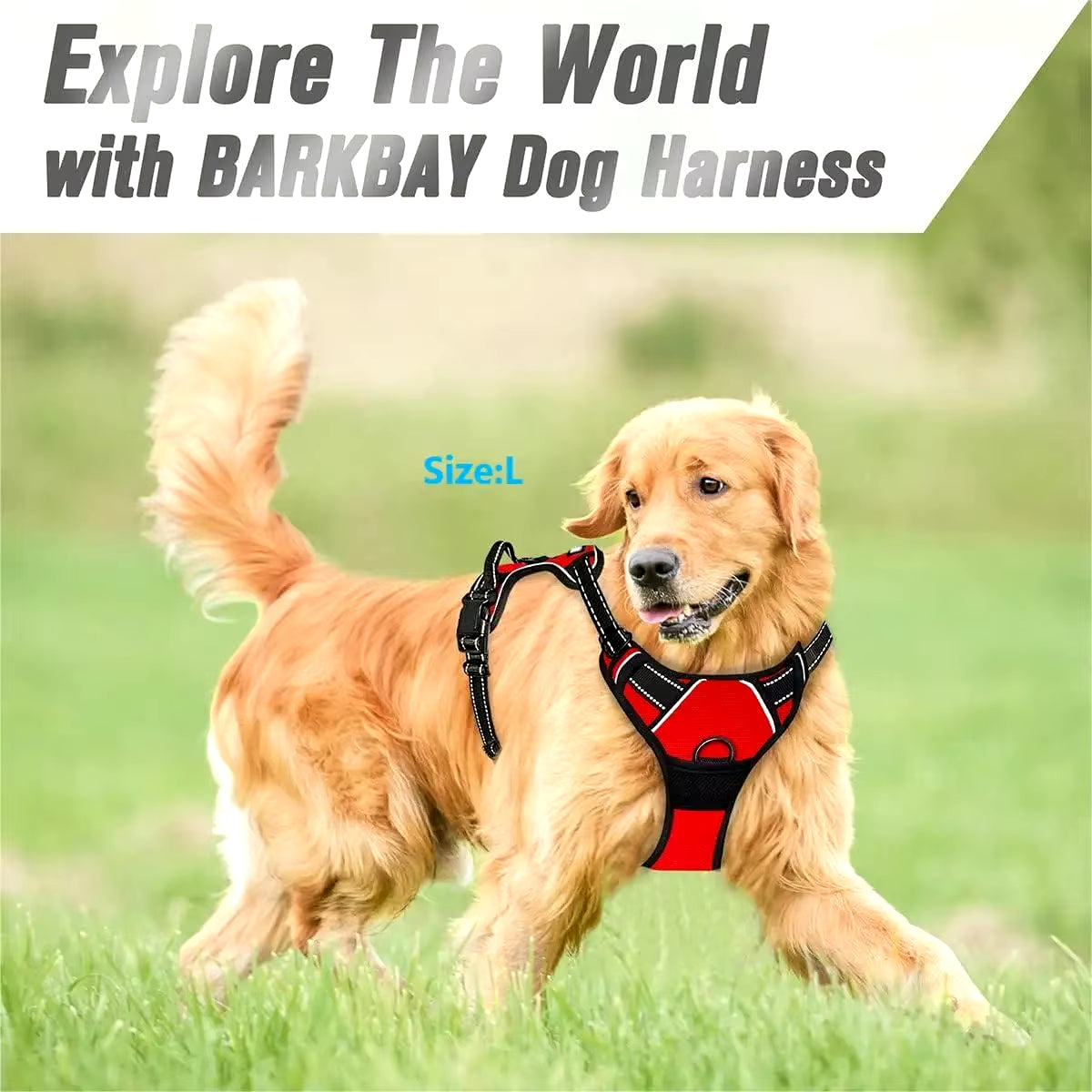 Matching Leather Vest Harness, Collar, and Leash For Dogs in Different Sizes and Colors