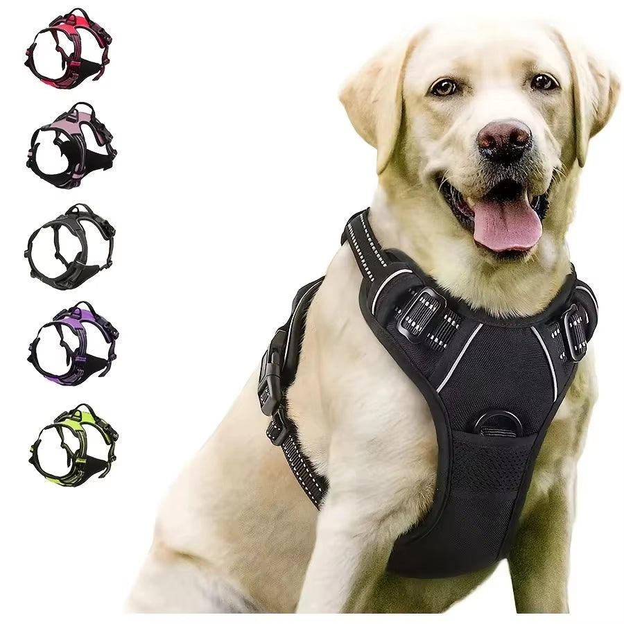 Matching Leather Vest Harness, Collar, and Leash For Dogs in Different Sizes and Colors